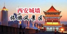 色蜂视屏中国陕西-西安城墙旅游风景区